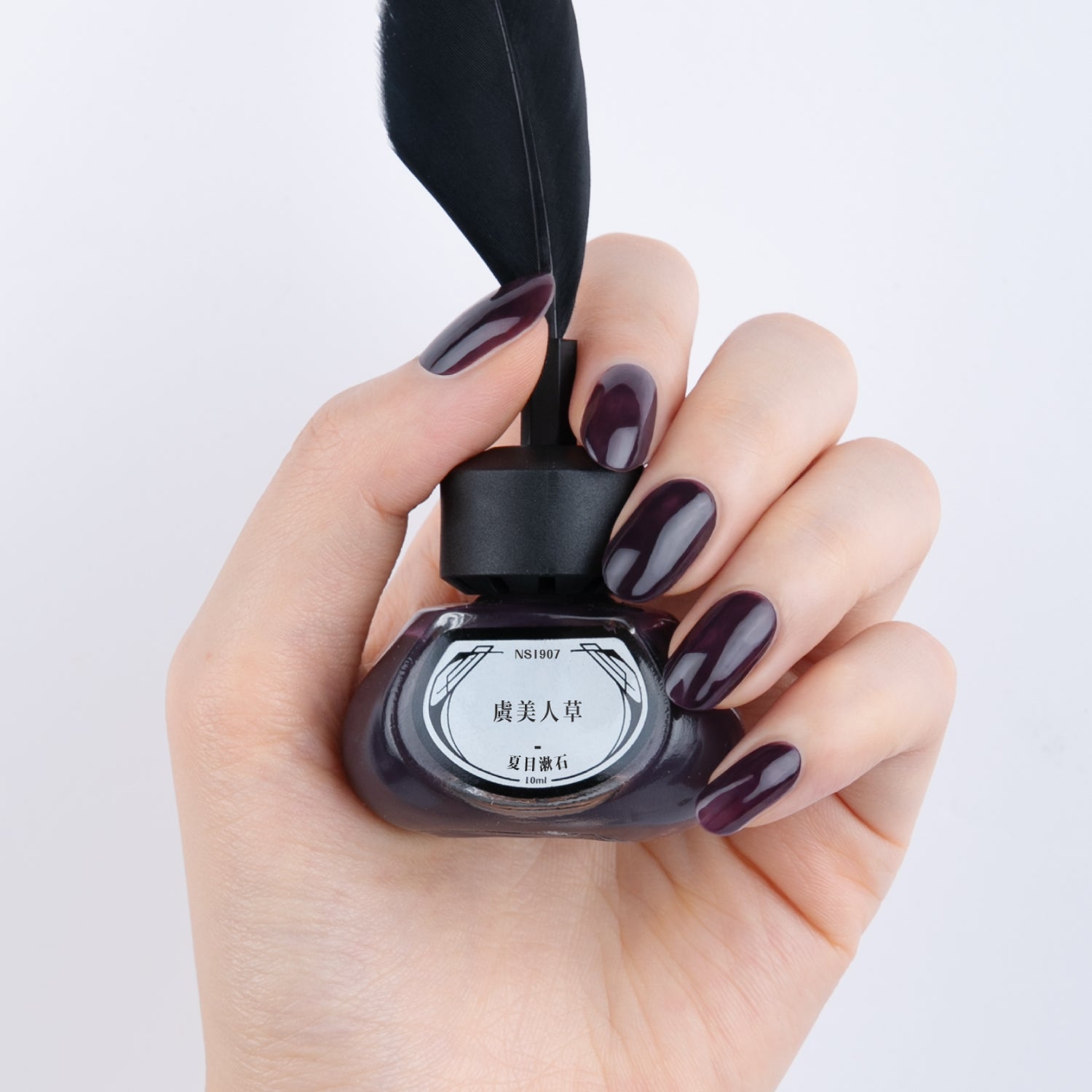 夏目漱石シリーズ全5色セット（ギフトボックス入）【ネイルポリッシュ